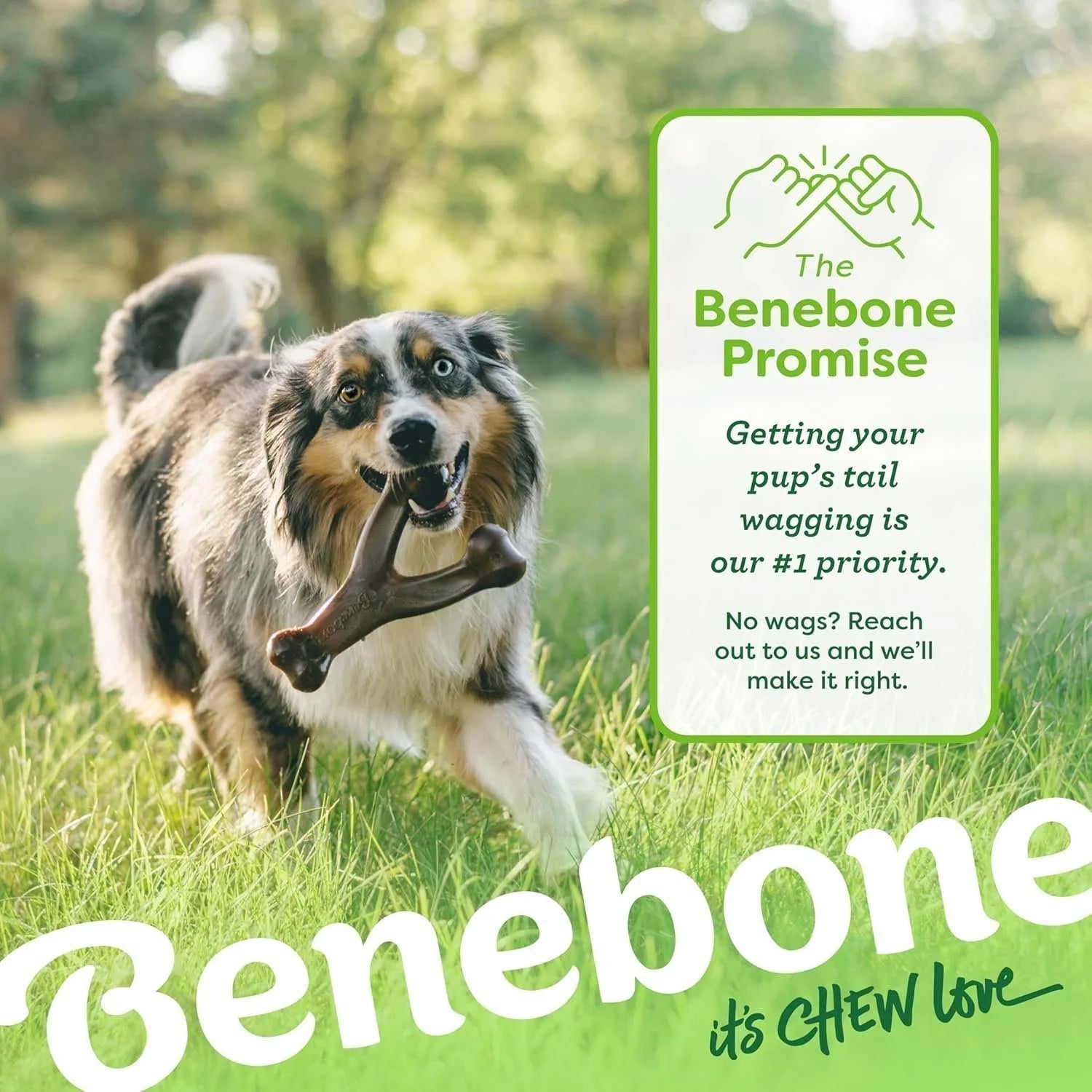 Benebone Wishbone Durable Toy ForDogs, For Heavy Chewers, Bacon Flavor
