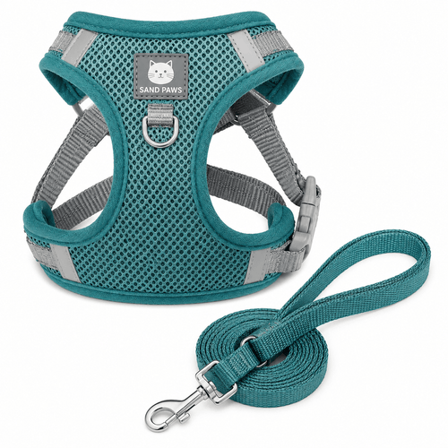 Teal cat harness and leash set with 'Sand Paws' branding on a white background